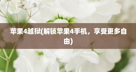 苹果4越狱(解锁苹果4手机，享受更多自由)