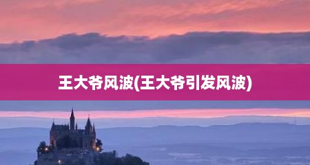 王大爷风波(王大爷引发风波)