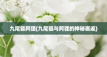 九尾狐阿狸(九尾狐与阿狸的神秘邂逅)
