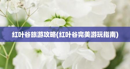 红叶谷旅游攻略(红叶谷完美游玩指南)