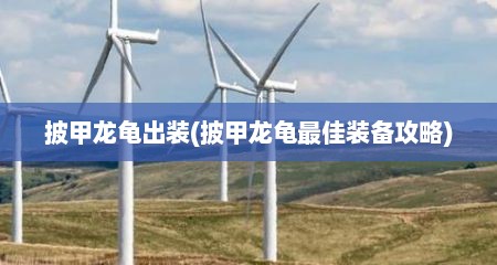 披甲龙龟出装(披甲龙龟最佳装备攻略)