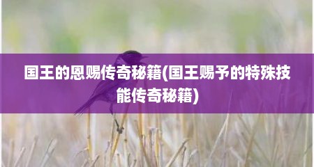 国王的恩赐传奇秘籍(国王赐予的特殊技能传奇秘籍)