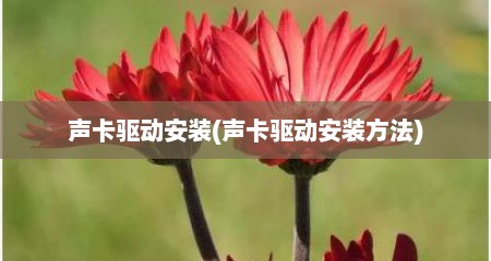 声卡驱动安装(声卡驱动安装方法)