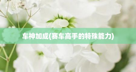 车神加成(赛车高手的特殊能力)