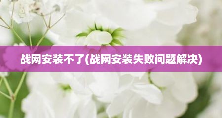 战网安装不了(战网安装失败问题解决)