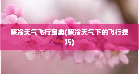 寒冷天气飞行宝典(寒冷天气下的飞行技巧)