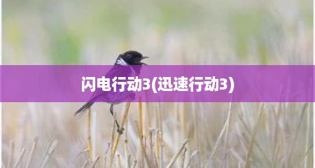 闪电行动3(迅速行动3)