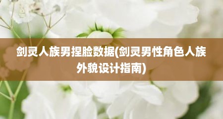 剑灵人族男捏脸数据(剑灵男性角色人族外貌设计指南)