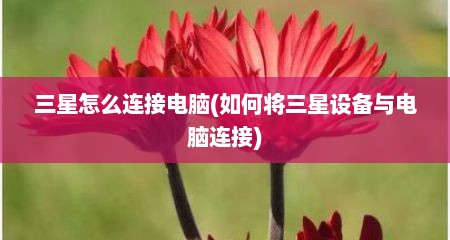 三星怎么连接电脑(如何将三星设备与电脑连接)