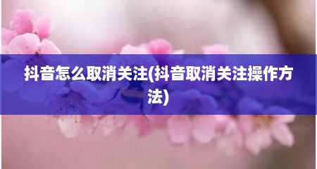 抖音怎么取消关注(抖音取消关注操作方法)
