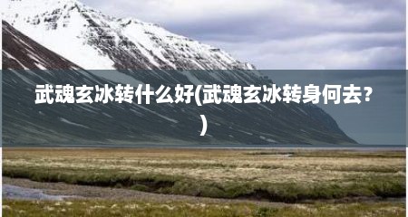 武魂玄冰转什么好(武魂玄冰转身何去？)