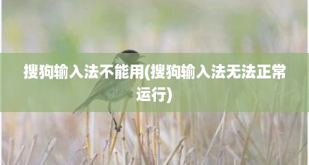 搜狗输入法不能用(搜狗输入法无法正常运行)