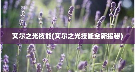 艾尔之光技能(艾尔之光技能全新揭秘)