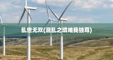 乱世无双(混乱之境唯我独尊)