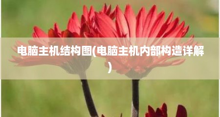 电脑主机结构图(电脑主机内部构造详解)