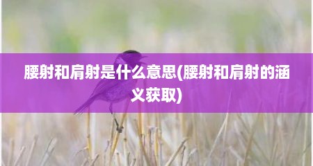 腰射和肩射是什么意思(腰射和肩射的涵义获取)