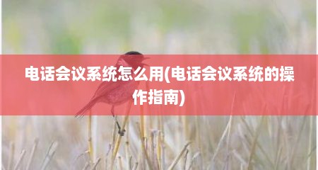 电话会议系统怎么用(电话会议系统的操作指南)