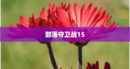 部落守卫战15