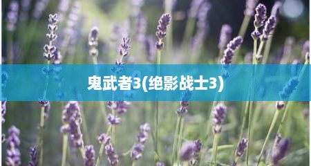 鬼武者3(绝影战士3)