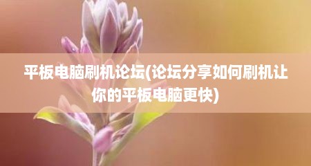 平板电脑刷机论坛(论坛分享如何刷机让你的平板电脑更快)
