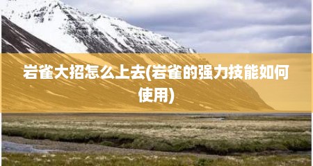 岩雀大招怎么上去(岩雀的强力技能如何使用)