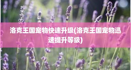洛克王国宠物快速升级(洛克王国宠物迅速提升等级)