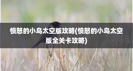 愤怒的小鸟太空版攻略(愤怒的小鸟太空版全关卡攻略)