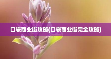 口袋商业街攻略(口袋商业街完全攻略)