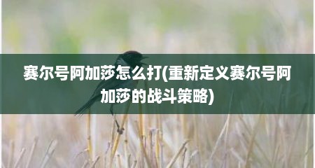赛尔号阿加莎怎么打(重新定义赛尔号阿加莎的战斗策略)