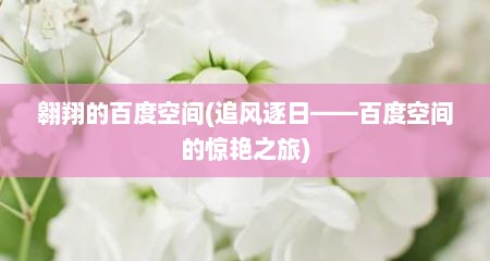 翱翔的百度空间(追风逐日——百度空间的惊艳之旅)