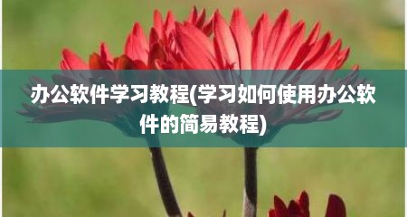 办公软件学习教程(学习如何使用办公软件的简易教程)