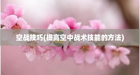 空战技巧(提高空中战术技能的方法)