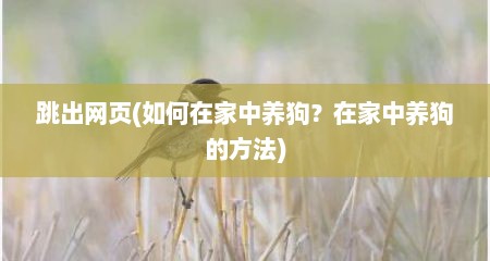 跳出网页(如何在家中养狗？在家中养狗的方法)