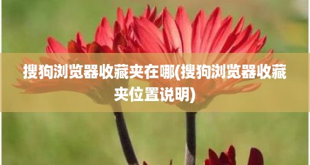 搜狗浏览器收藏夹在哪(搜狗浏览器收藏夹位置说明)