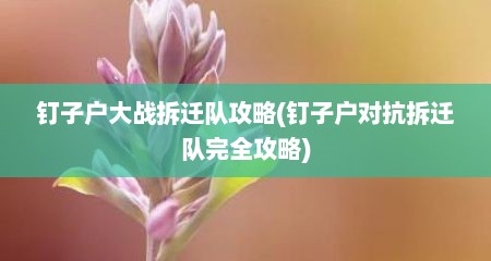 钉子户大战拆迁队攻略(钉子户对抗拆迁队完全攻略)