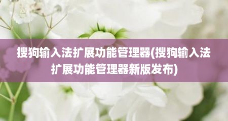 搜狗输入法扩展功能管理器(搜狗输入法扩展功能管理器新版发布)