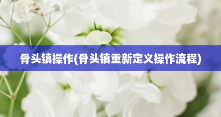 骨头镇操作(骨头镇重新定义操作流程)