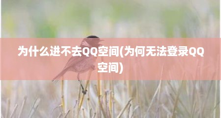 为什么进不去QQ空间(为何无法登录QQ空间)