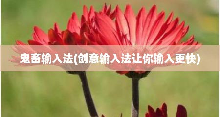 鬼畜输入法(创意输入法让你输入更快)