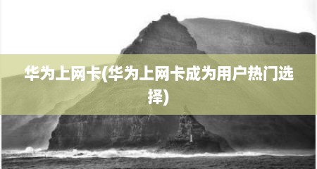 华为上网卡(华为上网卡成为用户热门选择)