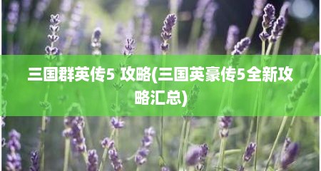 三国群英传5 攻略(三国英豪传5全新攻略汇总)
