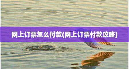 网上订票怎么付款(网上订票付款攻略)