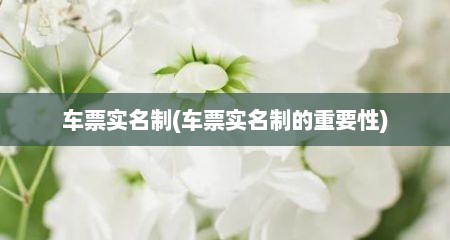 车票实名制(车票实名制的重要性)