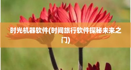 时光机器软件(时间旅行软件探秘未来之门)