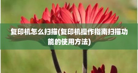 复印机怎么扫描(复印机操作指南扫描功能的使用方法)