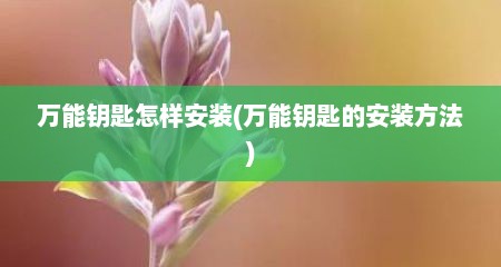 万能钥匙怎样安装(万能钥匙的安装方法)