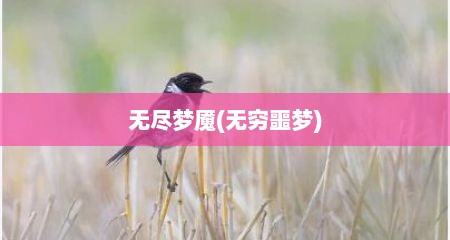 无尽梦魇(无穷噩梦)