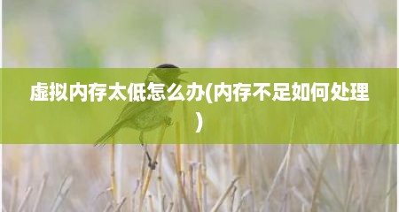 虚拟内存太低怎么办(内存不足如何处理)