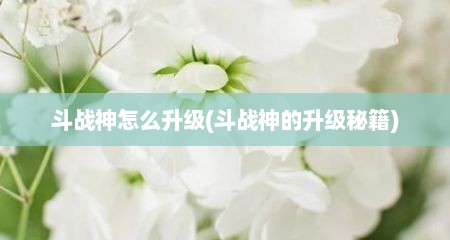 斗战神怎么升级(斗战神的升级秘籍)