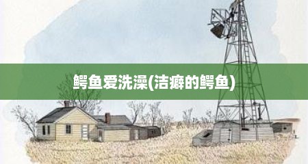 鳄鱼爱洗澡(洁癖的鳄鱼)